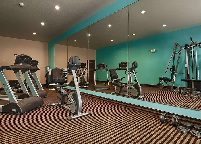 Hotel Western Sonora Inn&suites 3*